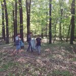 Kategoria główna » Sprzątania lasu w Głogowie - 22.04.2018